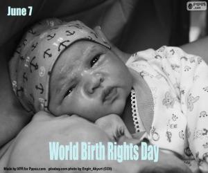 yapboz Dünya Doğum Hakları Günü